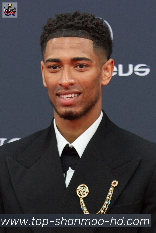 维尼修斯